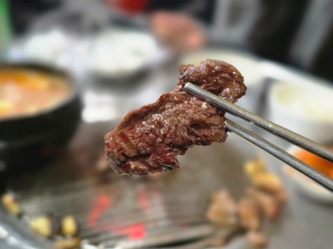 한우목장 사진 4