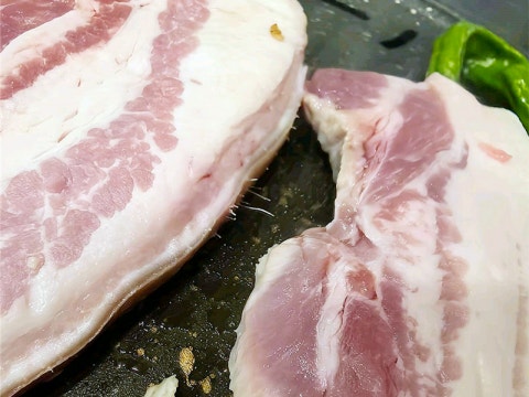 복돼지 사진 4