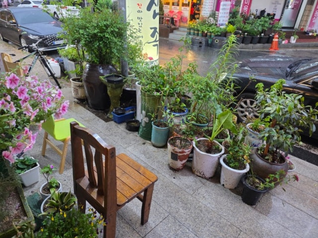 Jirisansutbulgalbisaenggogi 照片 6