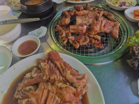 복돼지 사진 4