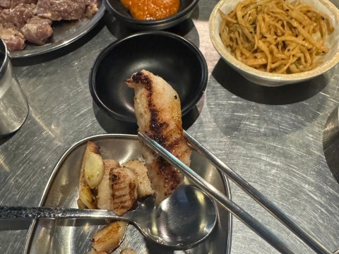 정사장네갈매기 사진 4