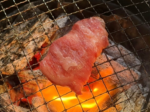 기둥참하누 사진 4