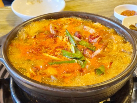 돼지네 사진 4