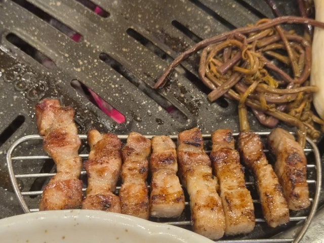 Misikgaui Gogi 写真 4
