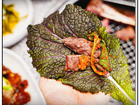 설화생갈비 강화점 사진 4