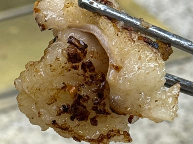 Jinjuhanuyanggopchang 照片 5