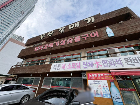 부산갈매기 사진 4