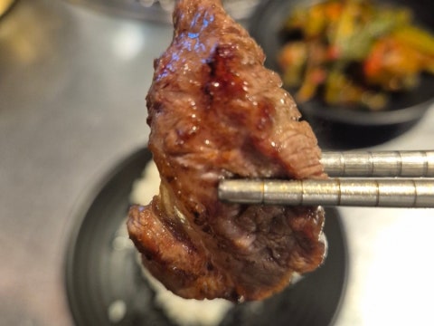 북새통 사진 4