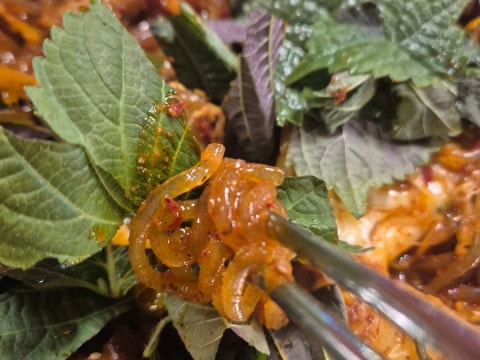 하우돈곱창 인천교대점 사진 4