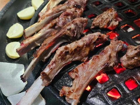 양이네 사진 4
