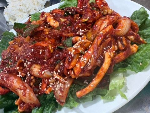술먹는흙돼지 사진 4