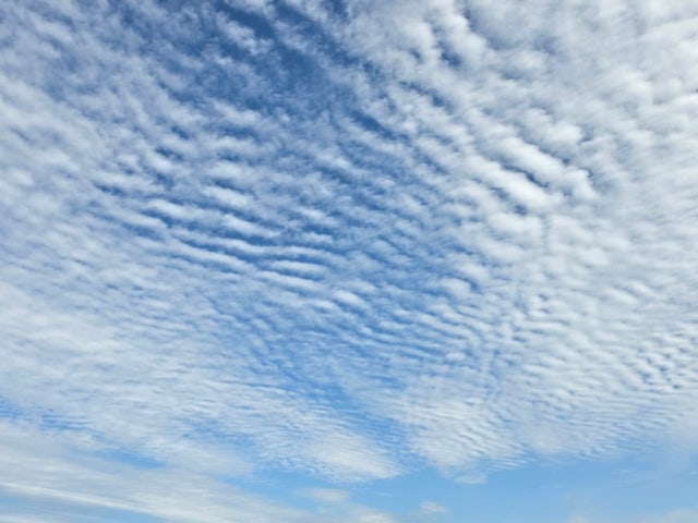 Cheogatjipsutbuldwaejigalbi 写真 6