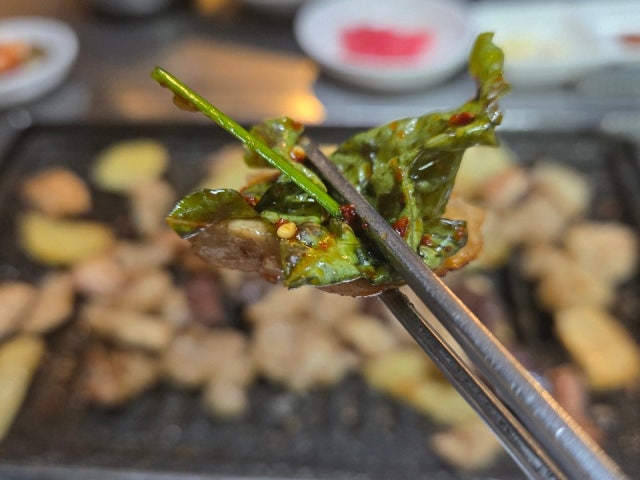 Dongcheonyanggopchang 总店 照片 6