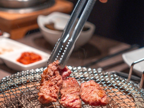 소철갈매기 사진 2