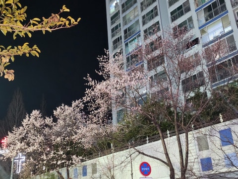 문경약돌한우 사진 4