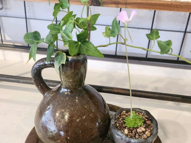 Peulroreukkasa 照片 6