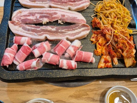 강남꿀돼지 사진 4