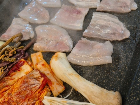 서창꽃돼지 사진 4