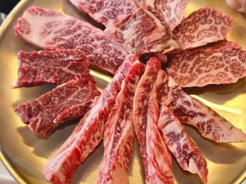 동백한우 사진 4