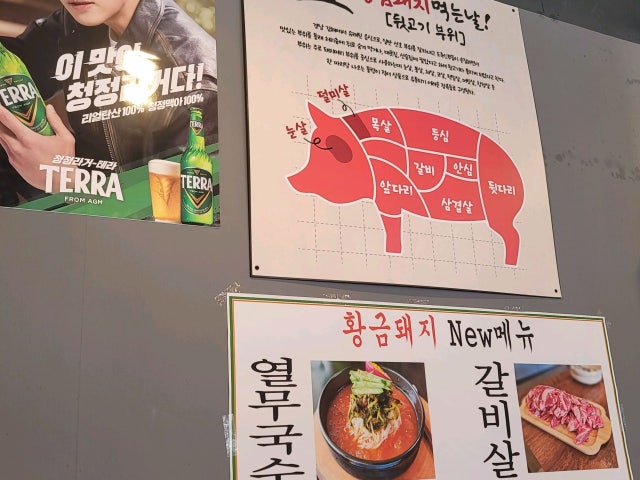 Hwanggeumdwaeji 写真 5