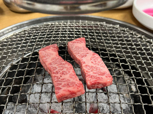 Boreumdalsutbulgui 照片 4