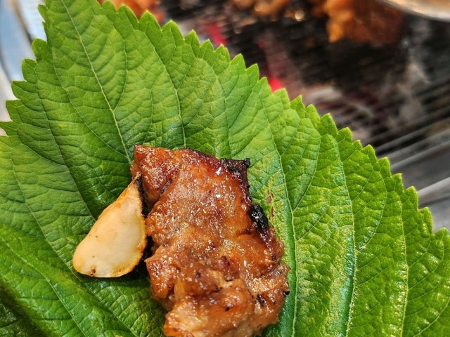 Donggangcheongjeonghanuaenhandon 照片 5