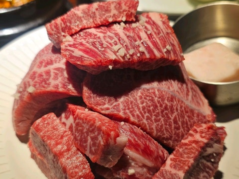 수영동우담 사진 4