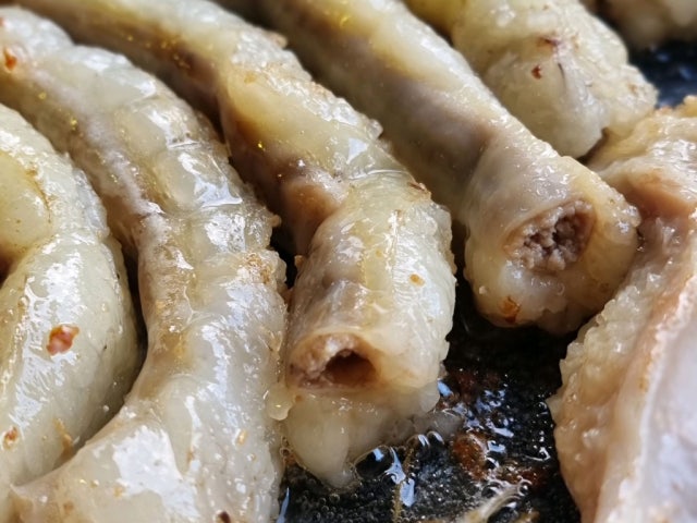 Ujuhanugopchang 写真 5