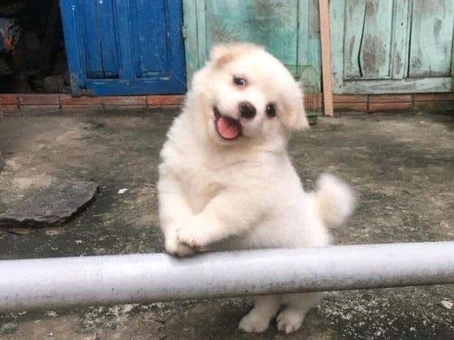 Samilsutbulgalbi 照片 6