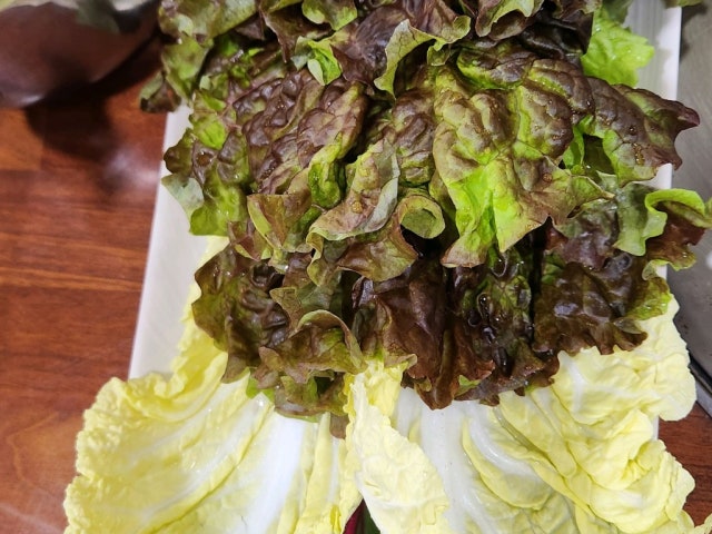 Yegasutbulgalbi 写真 5