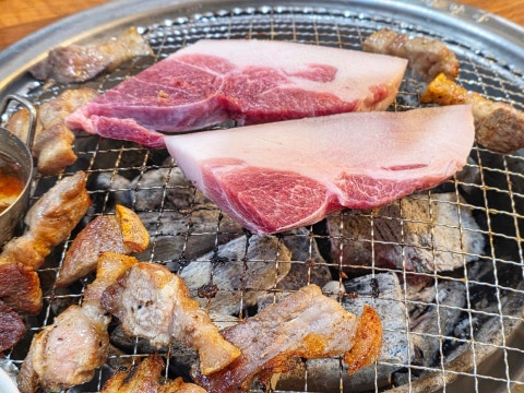 춘세흑돼지 사진 4