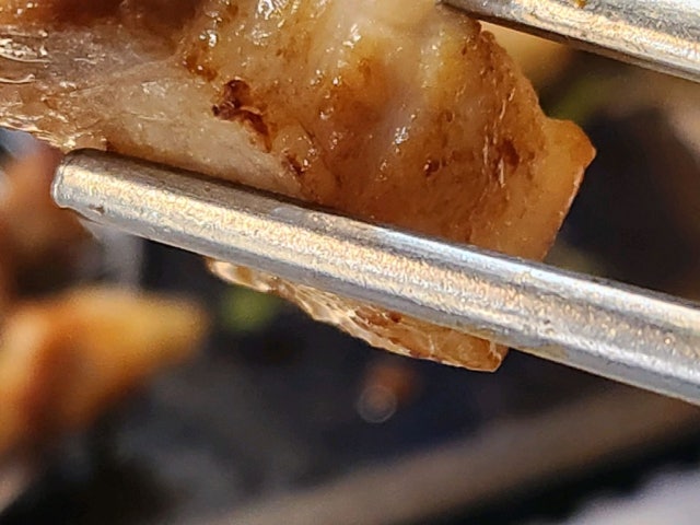 Goninejejuheukdwaeji Photos 5