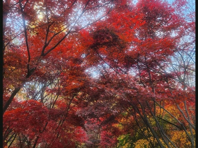 Hampyeonghanujeongyuksikdang Seocho1dong 写真 5
