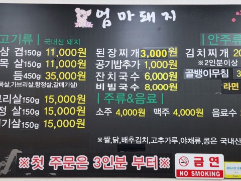 엄마돼지 사진 4