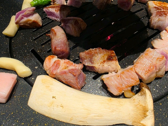 Gogil 写真 5