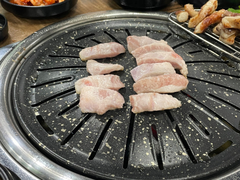 복돼지 사진 4