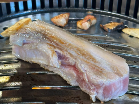 돈고집 사진 4