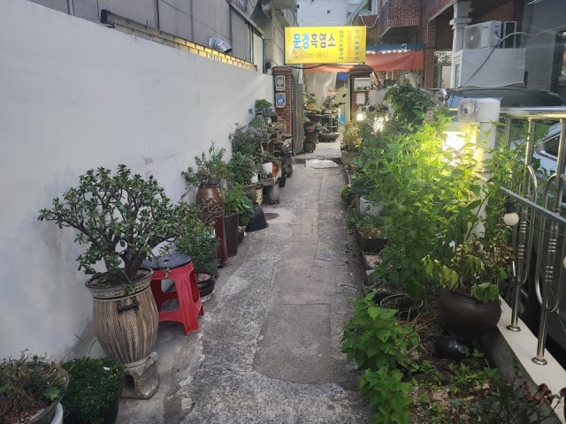 Mungyeongheukyeomso 照片 5