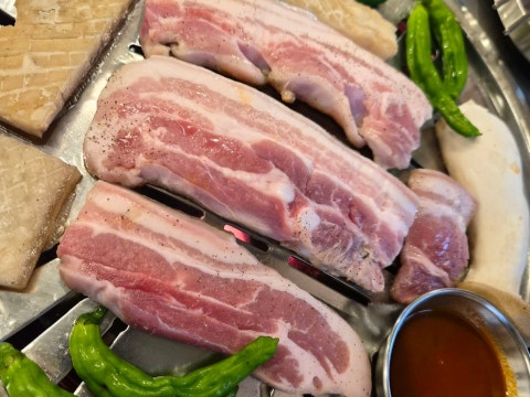담돼지 사진 4