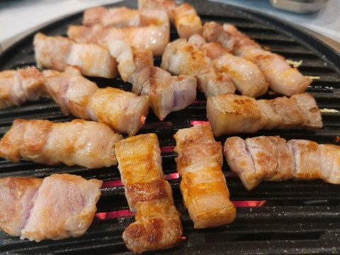 두텁돼지 사진 4