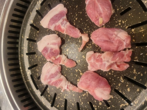 황금돼지 사진 4