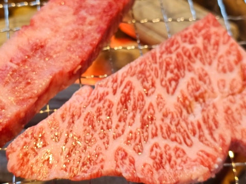 철마한우성호원 사진 4