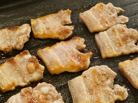 술술돼지 사진 4