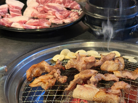 서울갈매기 사진 4