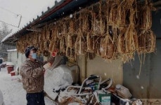 처마에 주렁주렁 열린 메주