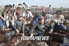 제주 관광체험어장 개장