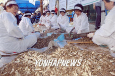 서울약령시 대축제:한약재 썰기