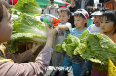 유기농녹색가게신시 서곡점 | 장난감 총칼을 유기농 배추와 바꿔줍니다