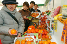 웰빙&힐링농업직판장 | 웰빙의 지름길 친환경 농산물
