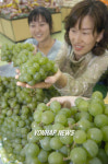 남면농협 청포대간이지소 | `청포도 맛보세요'